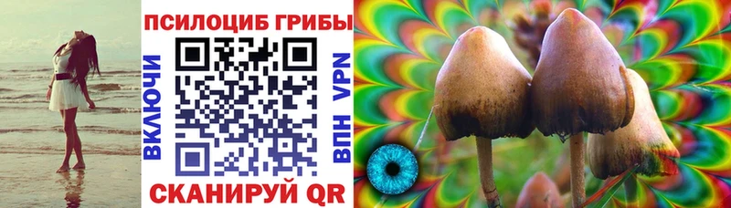 Галлюциногенные грибы мухоморы  Рошаль 